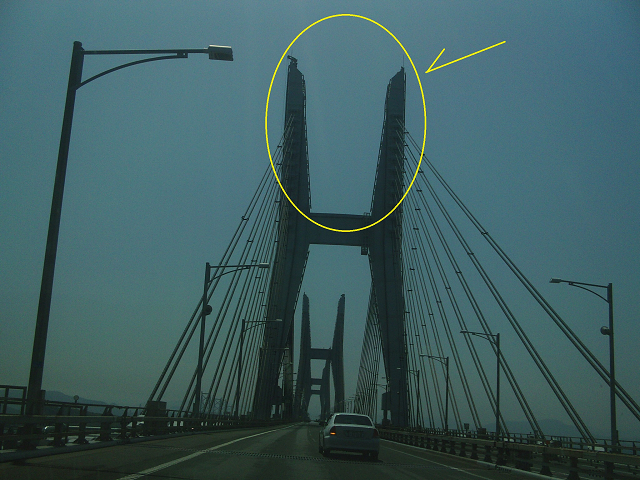 櫃石島橋塔頂部